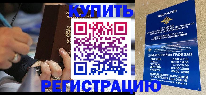 регистрация для школы в Елизово